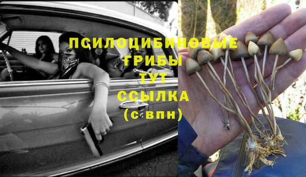 COCAINE Белокуриха