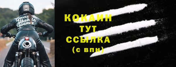 молекула духа Елизово