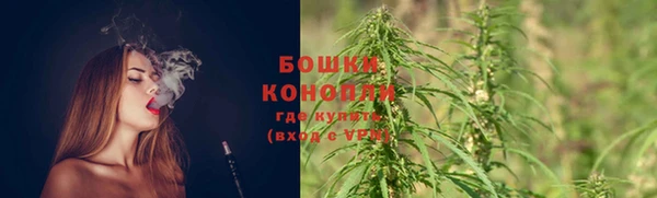 COCAINE Белокуриха