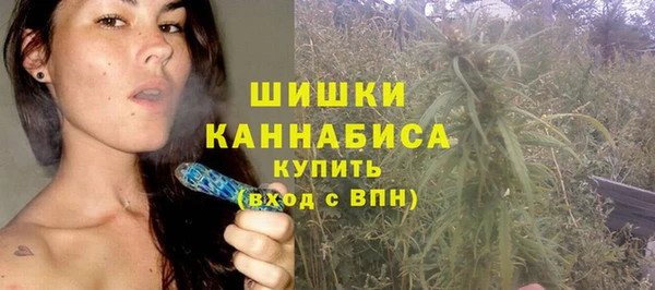 ГАЛЛЮЦИНОГЕННЫЕ ГРИБЫ Елабуга
